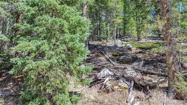 3075 Mountain Estates Road Florissant, CO 80816