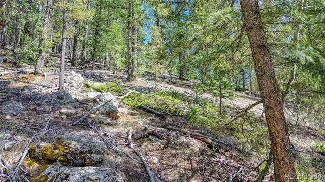3075 Mountain Estates Road Florissant, CO 80816