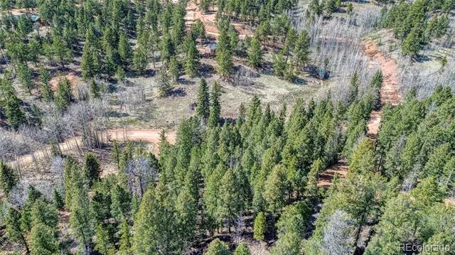 3075 Mountain Estates Road Florissant, CO 80816