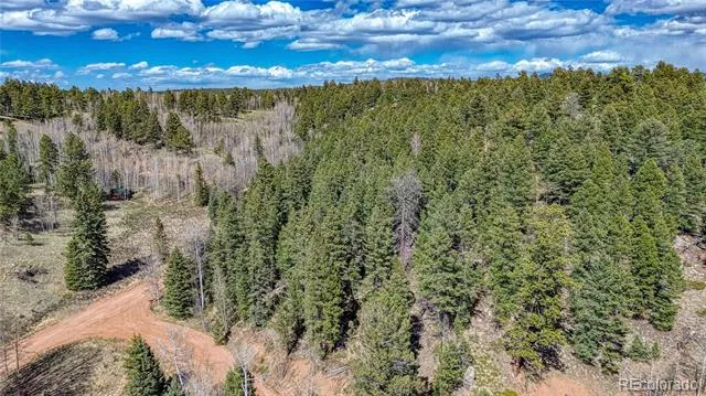 3075 Mountain Estates Road Florissant, CO 80816