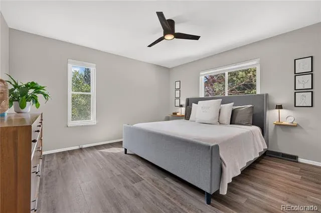 369 Burgess Drive Castle Rock, CO 80104