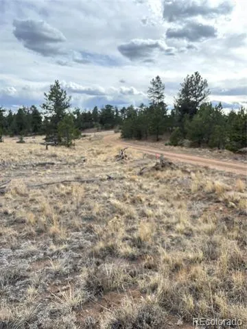 Hiawatha Circle Hartsel, CO 80449