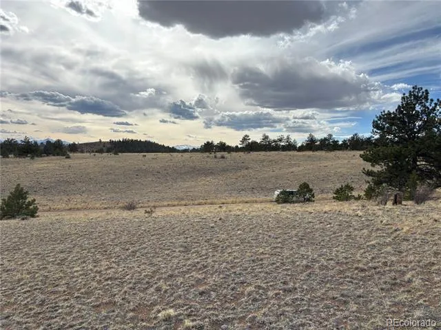 Hiawatha Circle Hartsel, CO 80449