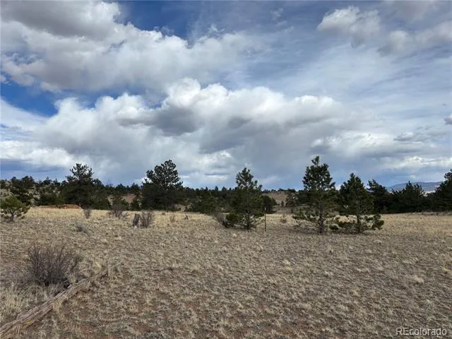 Hiawatha Circle Hartsel, CO 80449