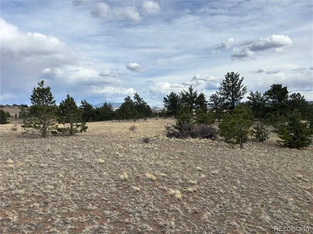 Hiawatha Circle Hartsel, CO 80449