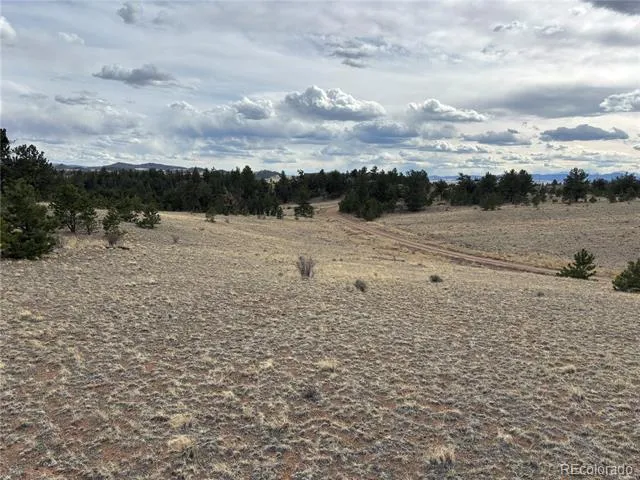 Hiawatha Circle Hartsel, CO 80449