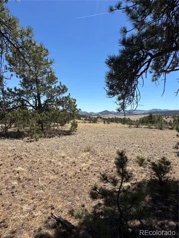 Hiawatha Circle Hartsel, CO 80449