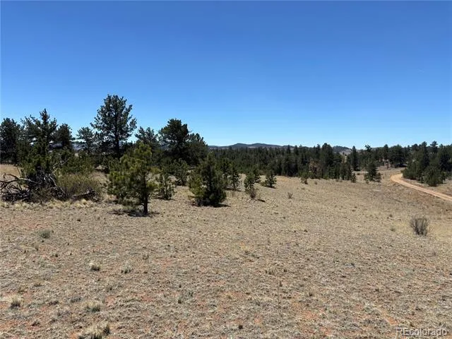 Hiawatha Circle Hartsel, CO 80449
