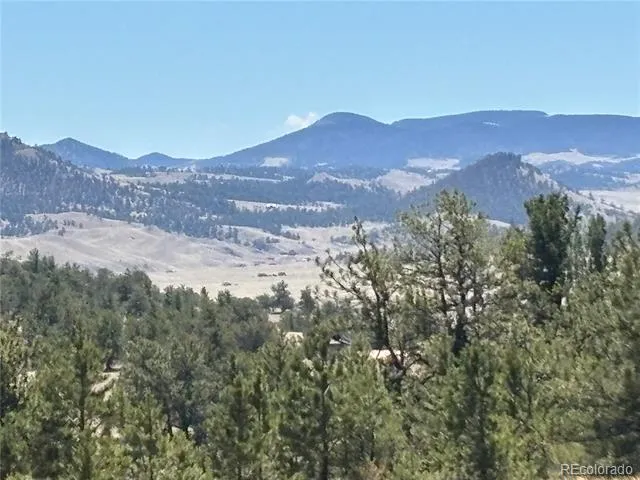 Hiawatha Circle Hartsel, CO 80449