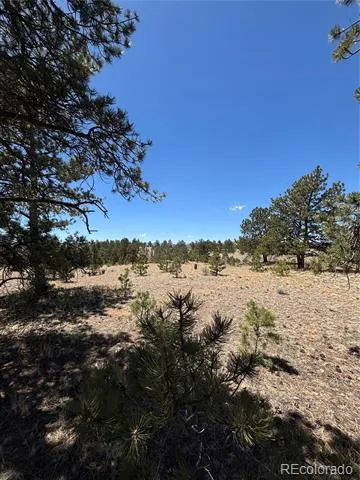 Hiawatha Circle Hartsel, CO 80449