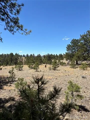 Hiawatha Circle Hartsel, CO 80449
