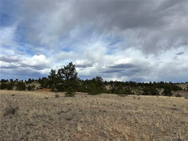 Hiawatha Circle Hartsel, CO 80449
