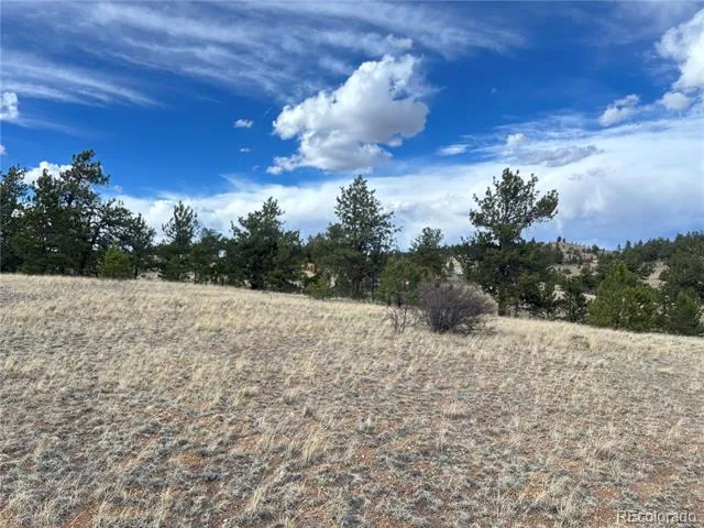 Hiawatha Circle Hartsel, CO 80449