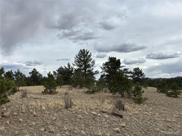 Hiawatha Circle Hartsel, CO 80449