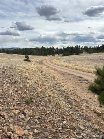 Hiawatha Circle Hartsel, CO 80449