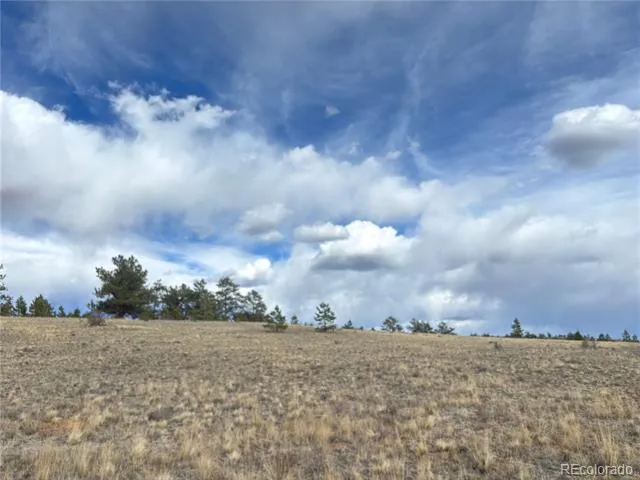 Hiawatha Circle Hartsel, CO 80449