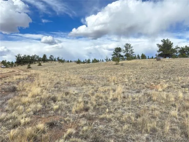 Hiawatha Circle Hartsel, CO 80449