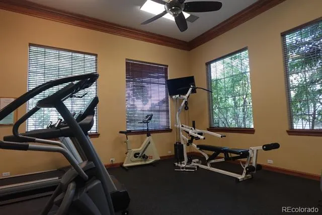 3780 Riviera Grove #204 Colorado Springs, CO 80922