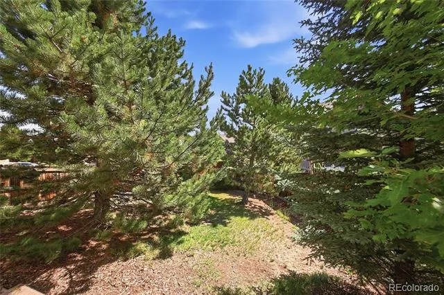 3037 Mashie Circle Castle Rock, CO 80109