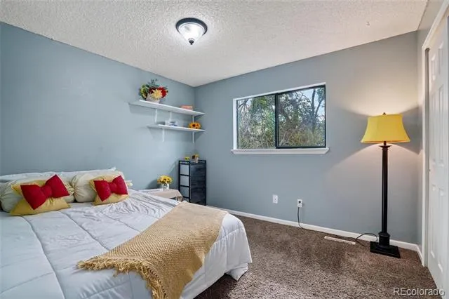 4745 E 129th Place Thornton, CO 80241