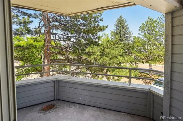 3684 Iguana Drive Colorado Springs, CO 80910