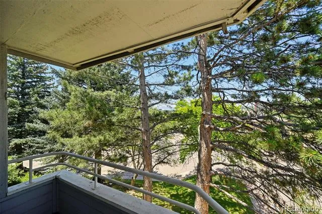 3684 Iguana Drive Colorado Springs, CO 80910