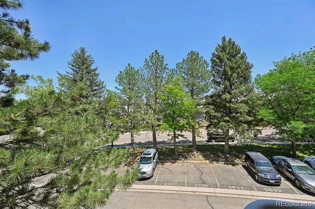 3684 Iguana Drive Colorado Springs, CO 80910