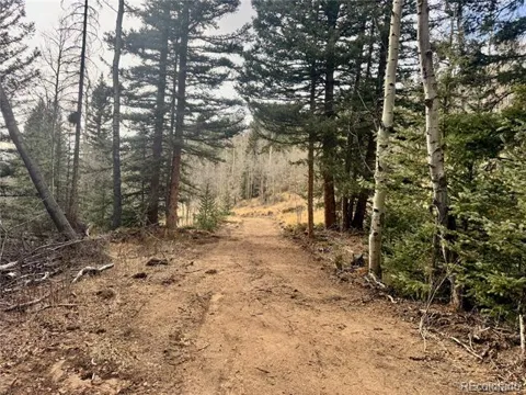 Ryland Road