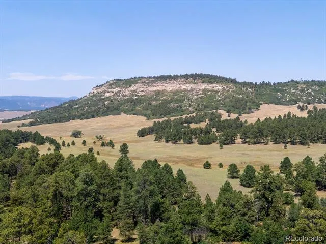 15969 Ray Drive Larkspur, CO 80118
