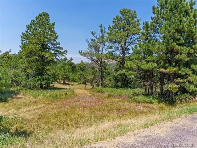 15969 Ray Drive Larkspur, CO 80118