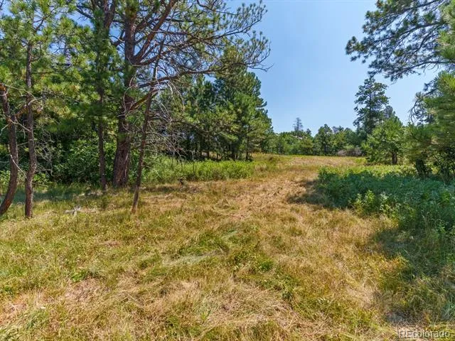 15969 Ray Drive Larkspur, CO 80118