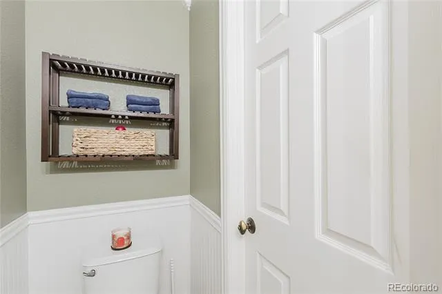 619 Hanging Rock Place Castle Rock, CO 80108