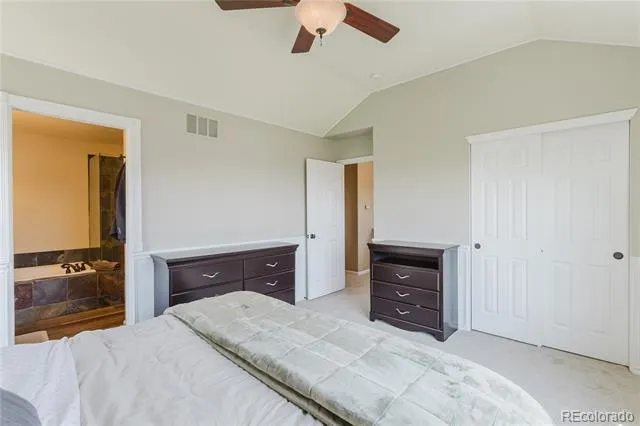 619 Hanging Rock Place Castle Rock, CO 80108