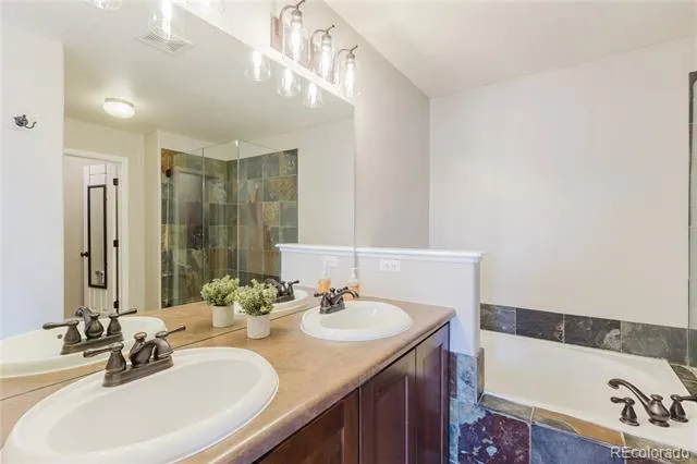 619 Hanging Rock Place Castle Rock, CO 80108