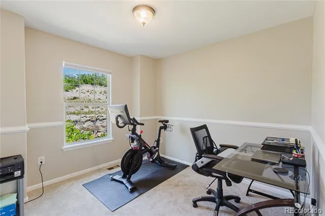 619 Hanging Rock Place Castle Rock, CO 80108
