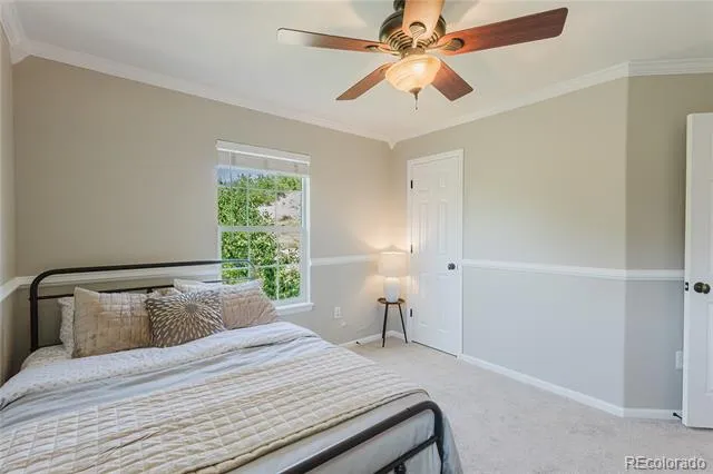 619 Hanging Rock Place Castle Rock, CO 80108