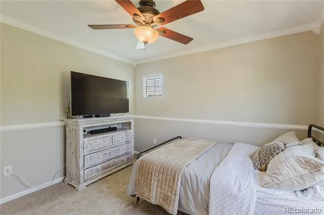 619 Hanging Rock Place Castle Rock, CO 80108