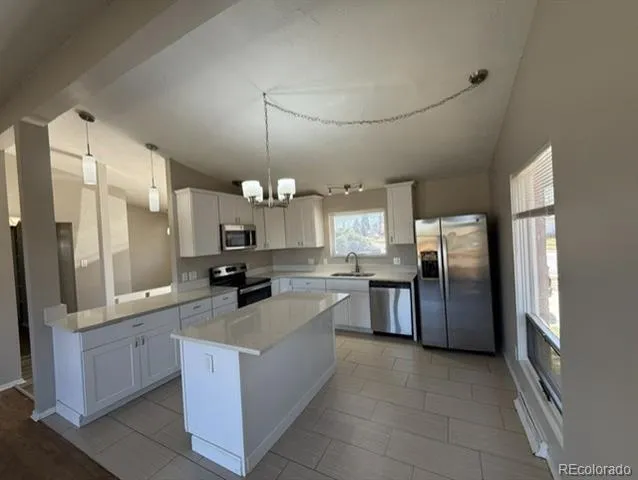 5674 W Chestnut Avenue Littleton, CO 80128