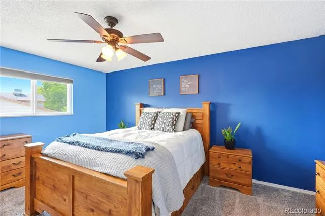 10029 Alcott Street Denver, CO 80260