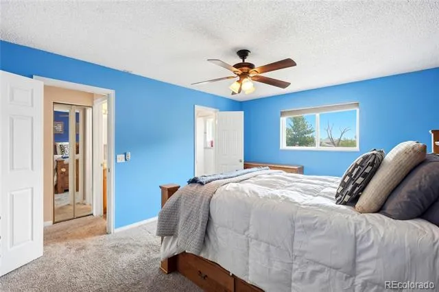 10029 Alcott Street Denver, CO 80260