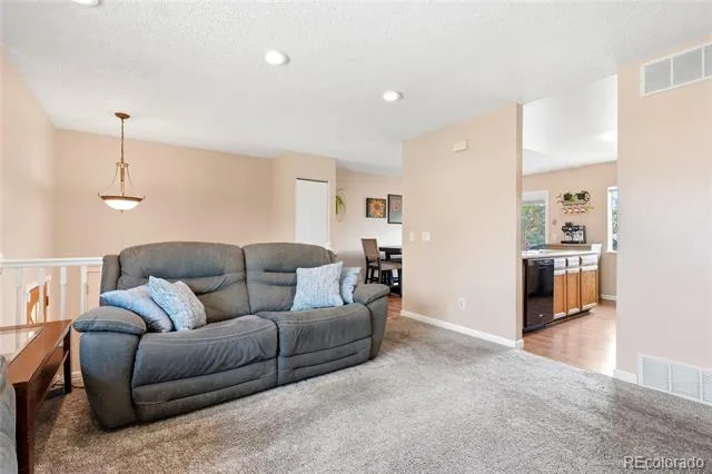 10029 Alcott Street Denver, CO 80260