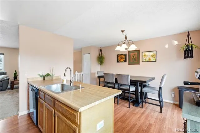 10029 Alcott Street Denver, CO 80260