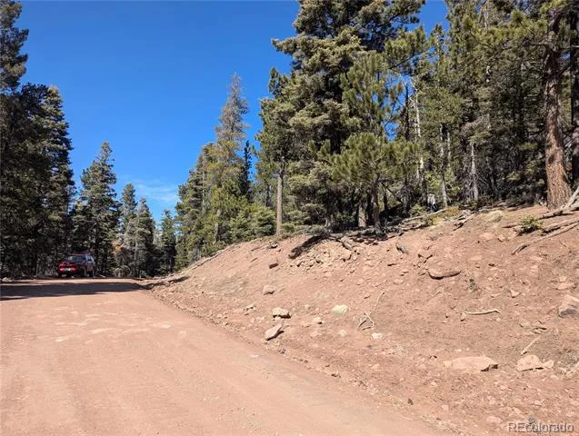 2796 Moir Drive Fort Garland, CO 81133