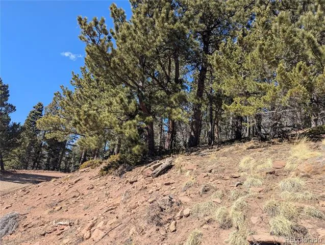 2796 Moir Drive Fort Garland, CO 81133