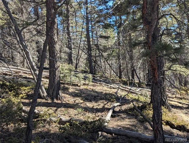 2796 Moir Drive Fort Garland, CO 81133