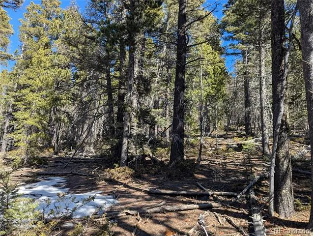 2796 Moir Drive Fort Garland, CO 81133