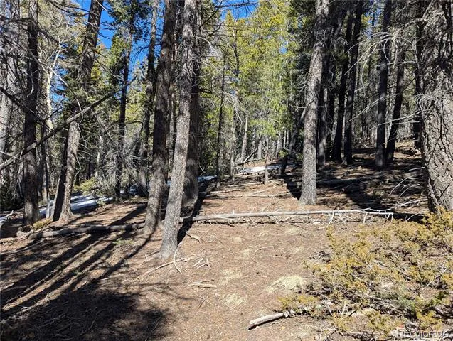 2796 Moir Drive Fort Garland, CO 81133