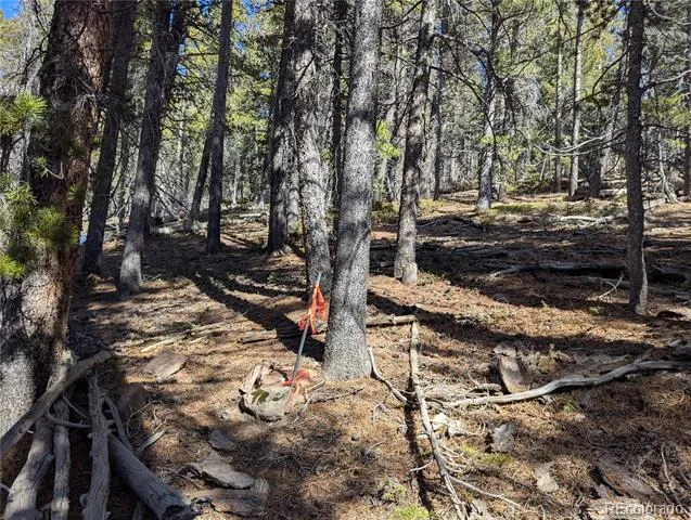 2796 Moir Drive Fort Garland, CO 81133