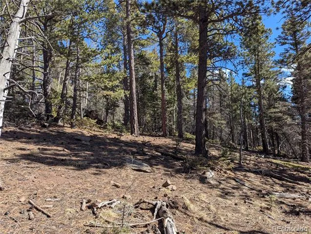 2796 Moir Drive Fort Garland, CO 81133