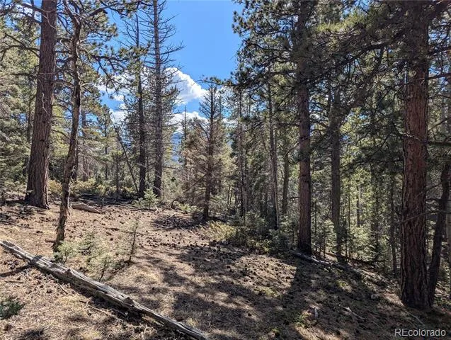 2796 Moir Drive Fort Garland, CO 81133
